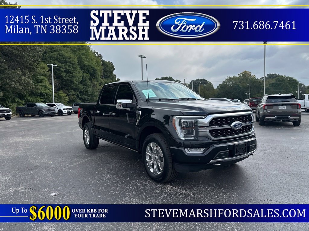 Used 2023 Ford F150 Platinum w/ Equipment Group 701A High