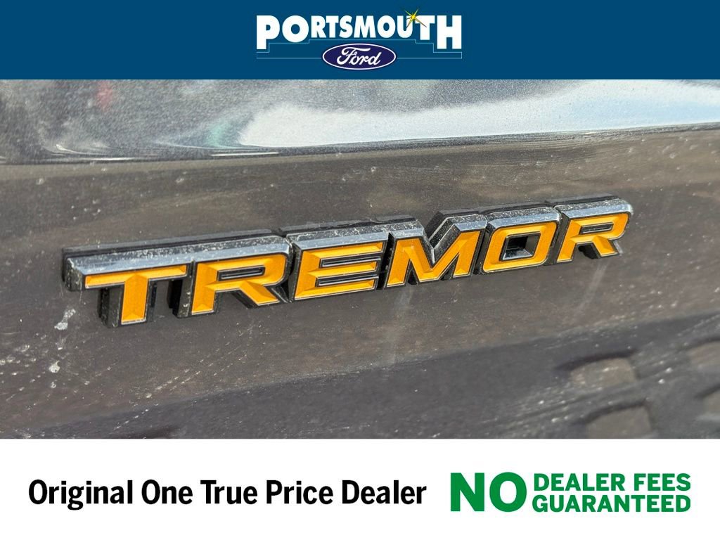 New 2025 Ford Expedition Tremor image 21