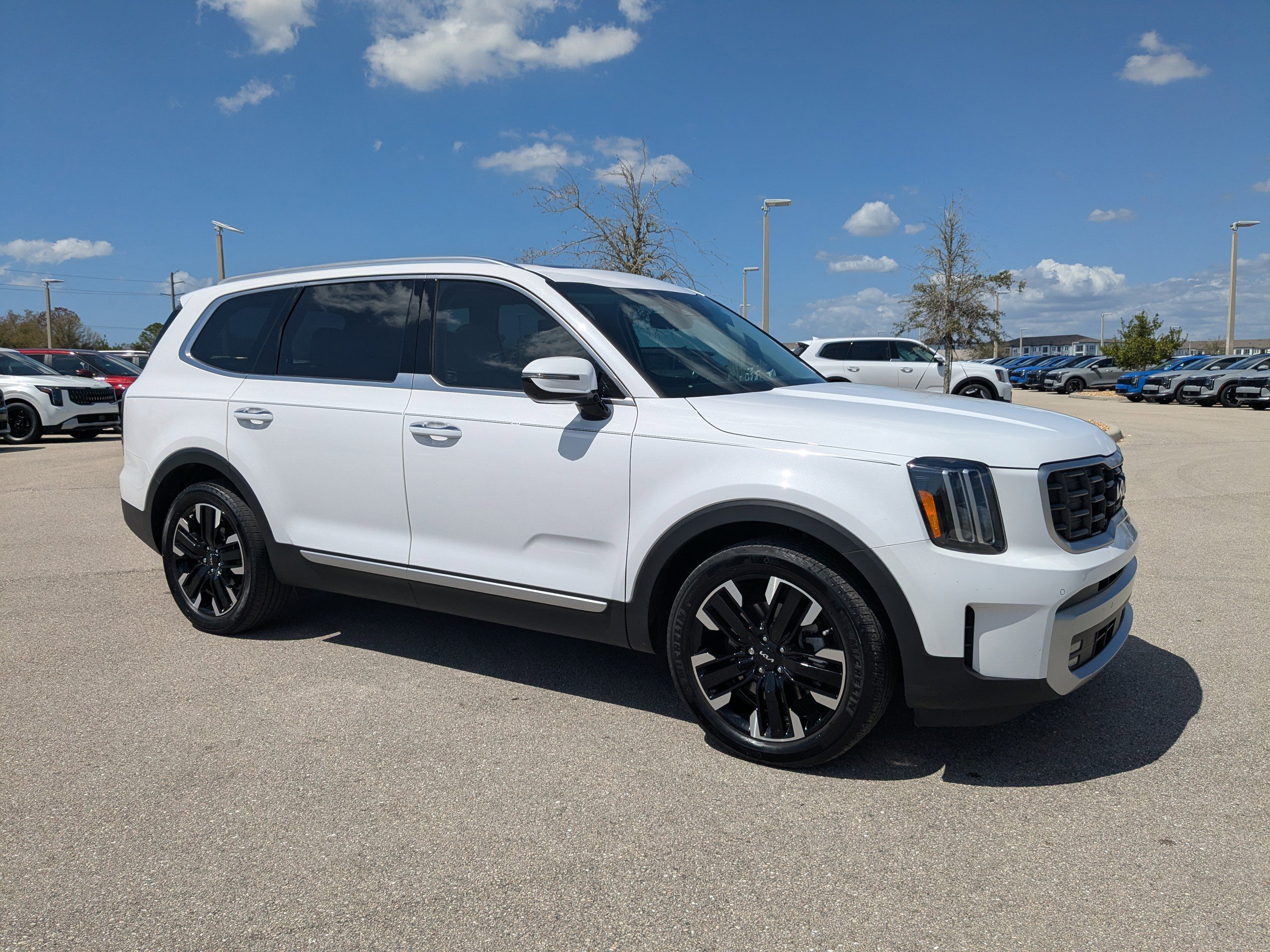 Certified 2024 Kia Telluride SX Prestige image 2