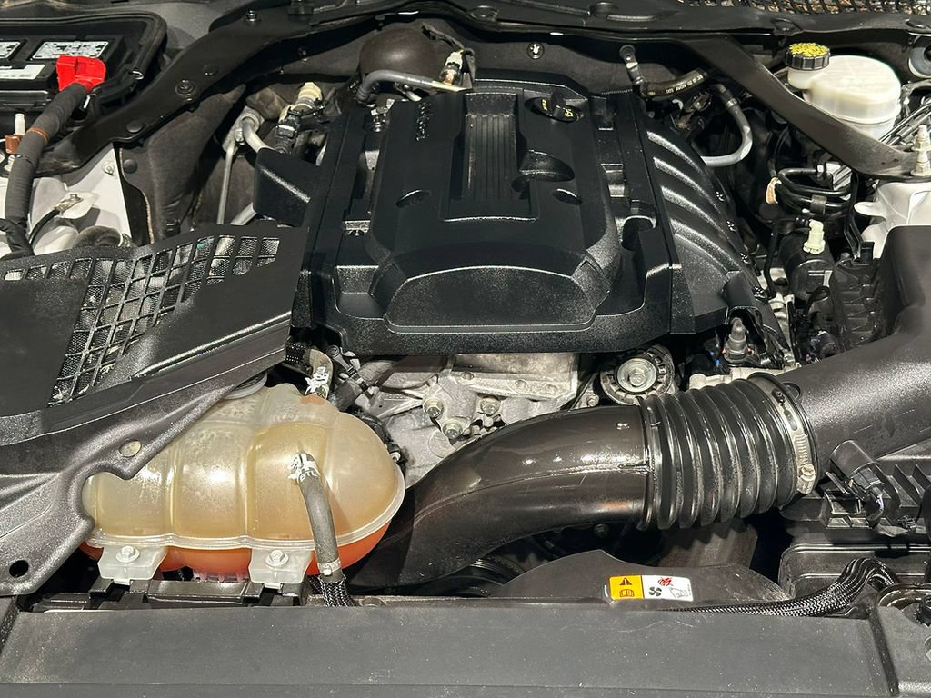 Used 2015 Ford Mustang Premium w/ Equipment Group 201A RWD image 13