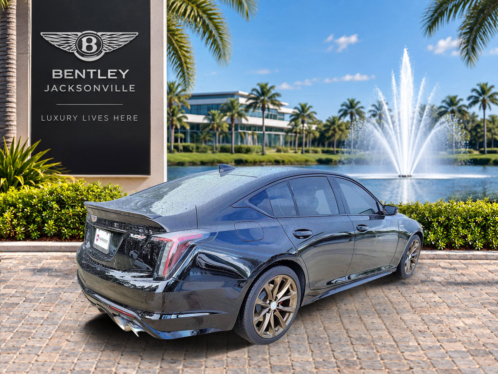 Used 2022 Cadillac CT5 V w/ Premium Package RWD image 6