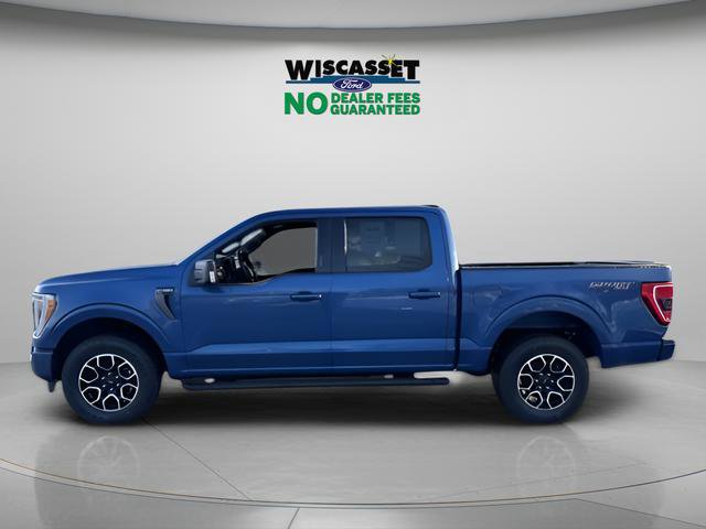 Used 2023 Ford F150 XLT w/ Equipment Group 302A High image 2