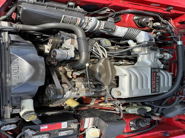 Used 1993 Ford Mustang Cobra image 9