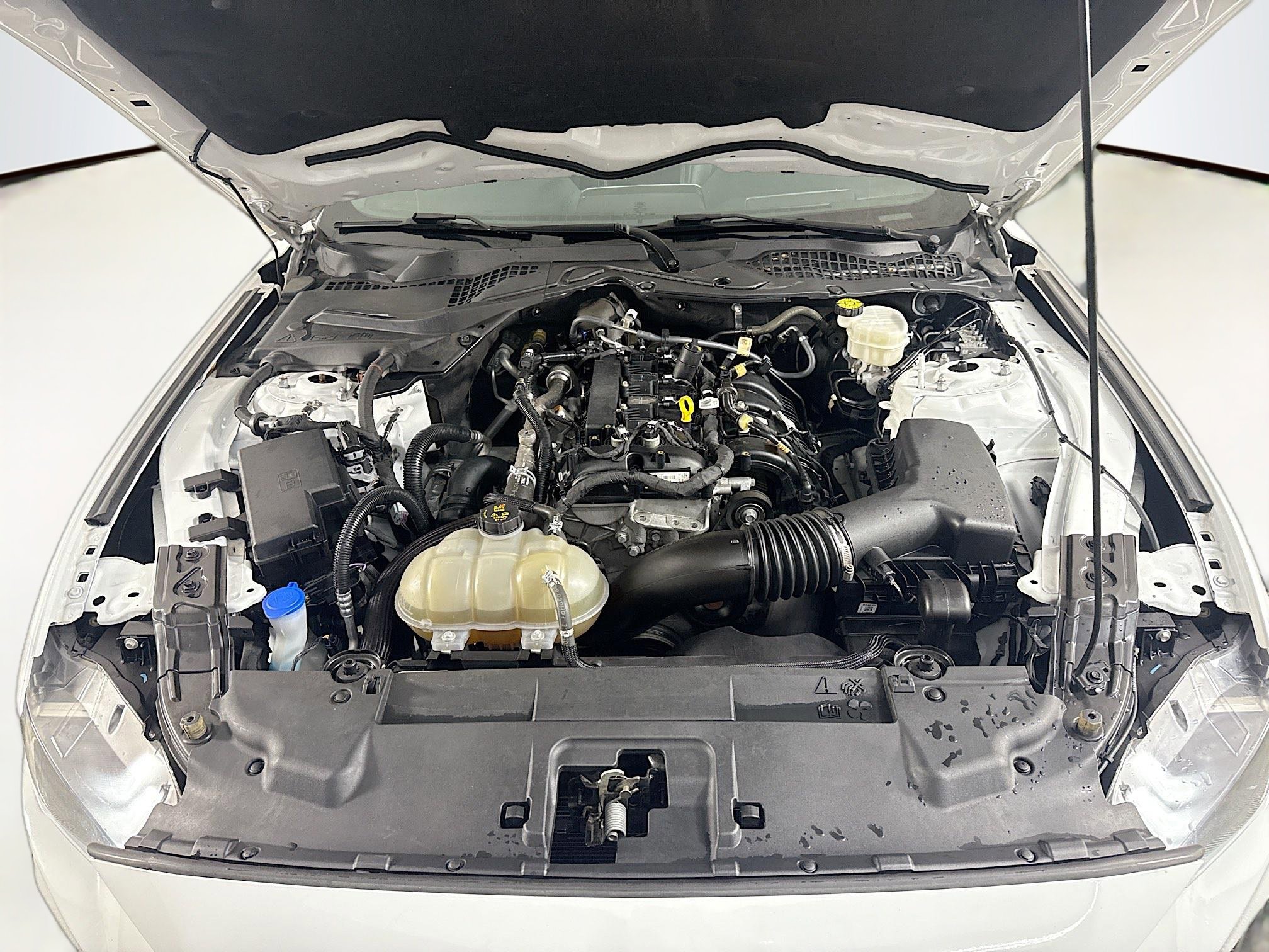 Used 2023 Ford Mustang Premium image 37