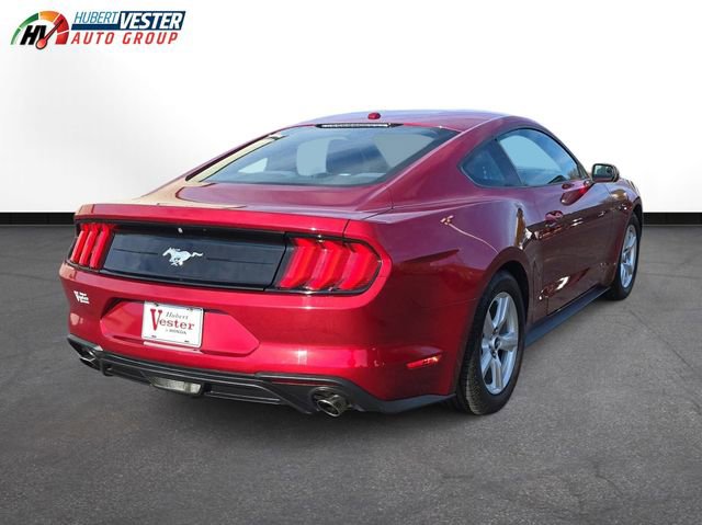 Used 2019 Ford Mustang EcoBoost image 6