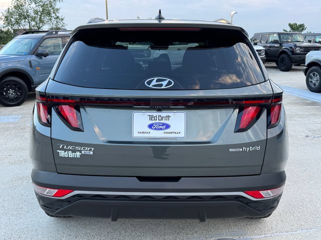 Used 2024 Hyundai Tucson Blue AWD/4WD image 6