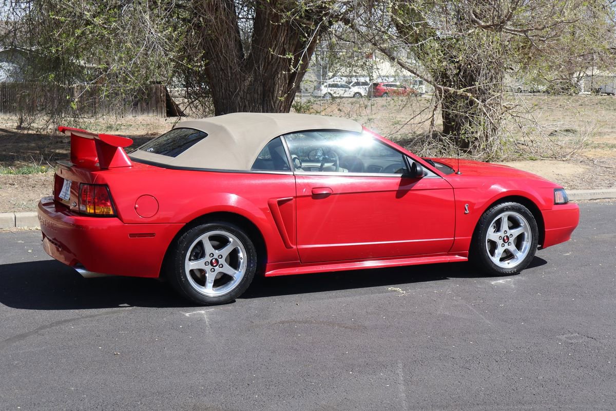 Used 1999 Ford Mustang Cobra image 4