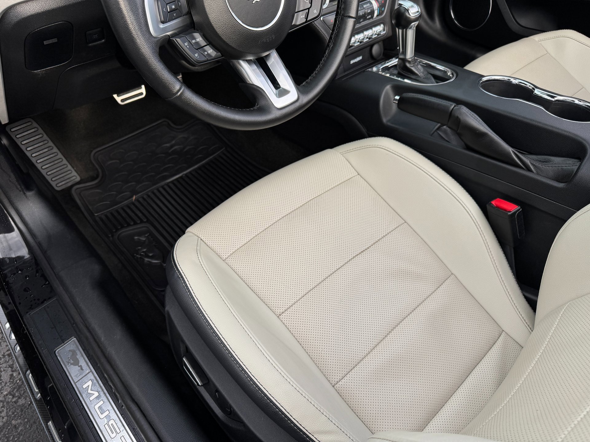 Used 2017 Ford Mustang GT Premium w/ Equipment Group 401A image 19