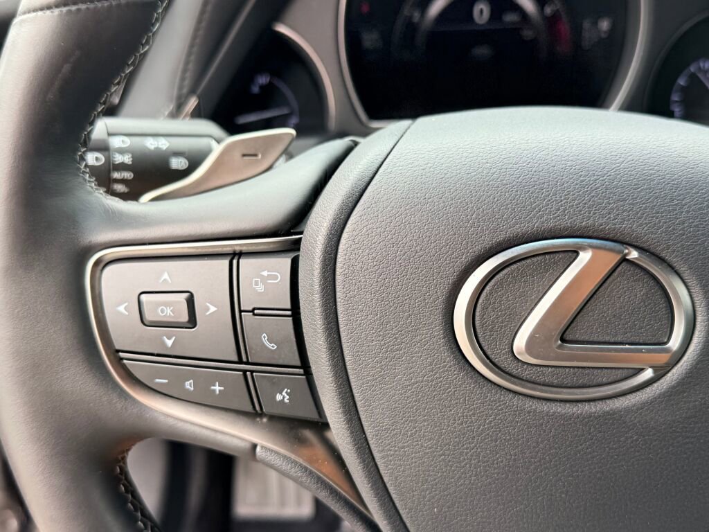 Used 2021 Lexus LS 500 w/ Accessory Package (Z2) image 28