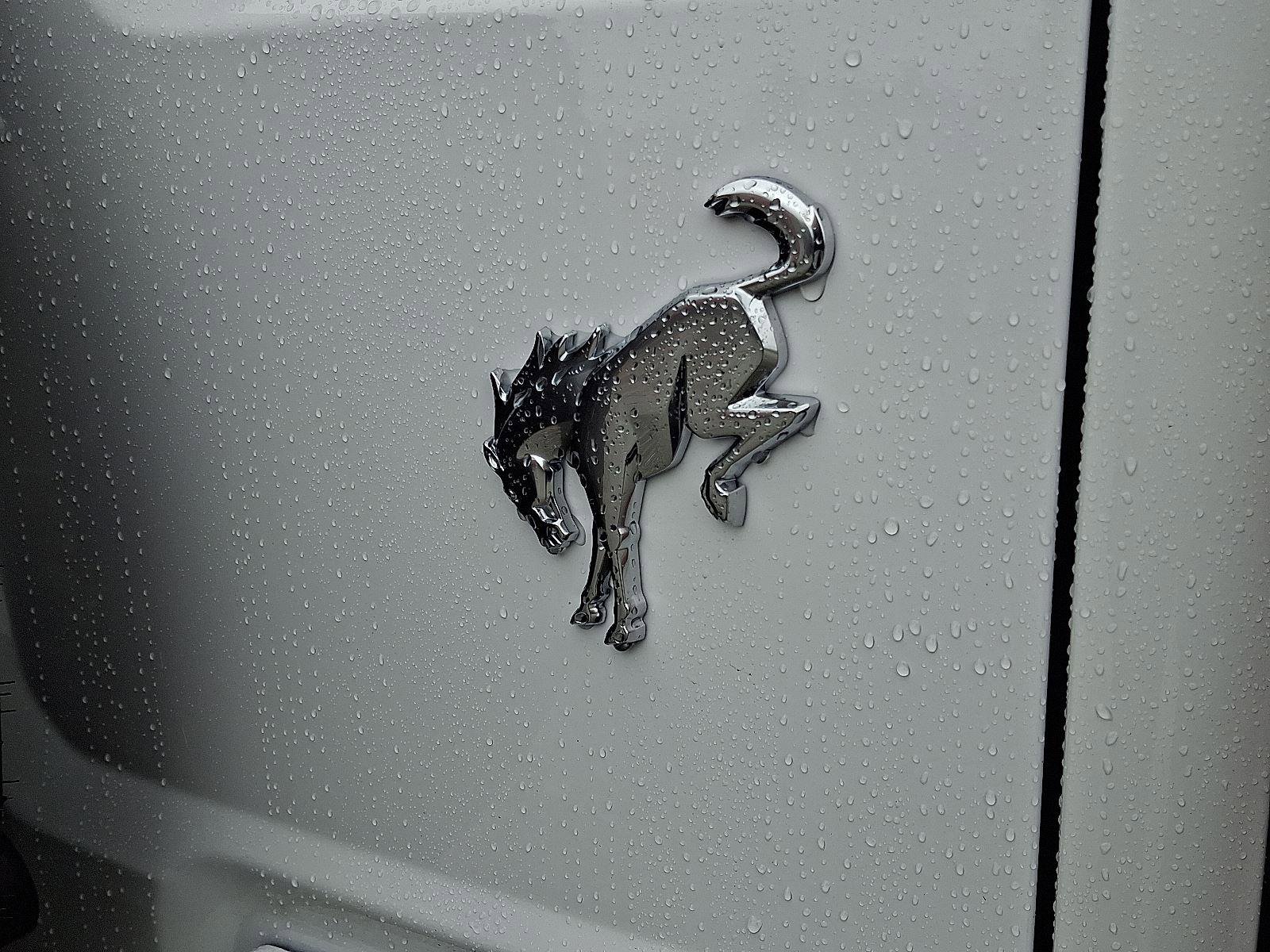 New 2025 Ford Bronco Outer Banks image 19