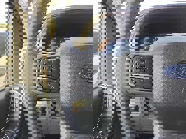 Used 2025 Ford F150 XLT w/ Equipment Group 301A Standard image 20