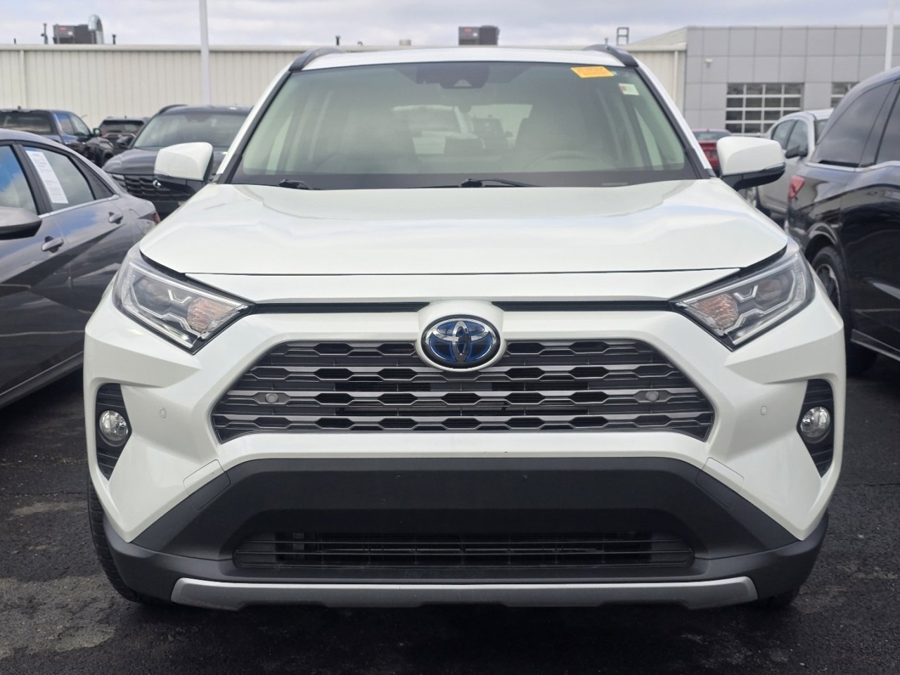 Used 2019 Toyota RAV4 Limited image 2