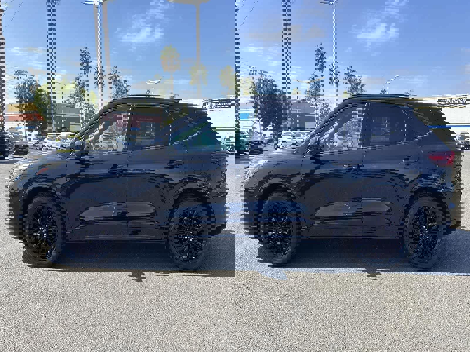 Used 2024 Ford Escape ST-Line Elite w/ Premium Technology Package image 5