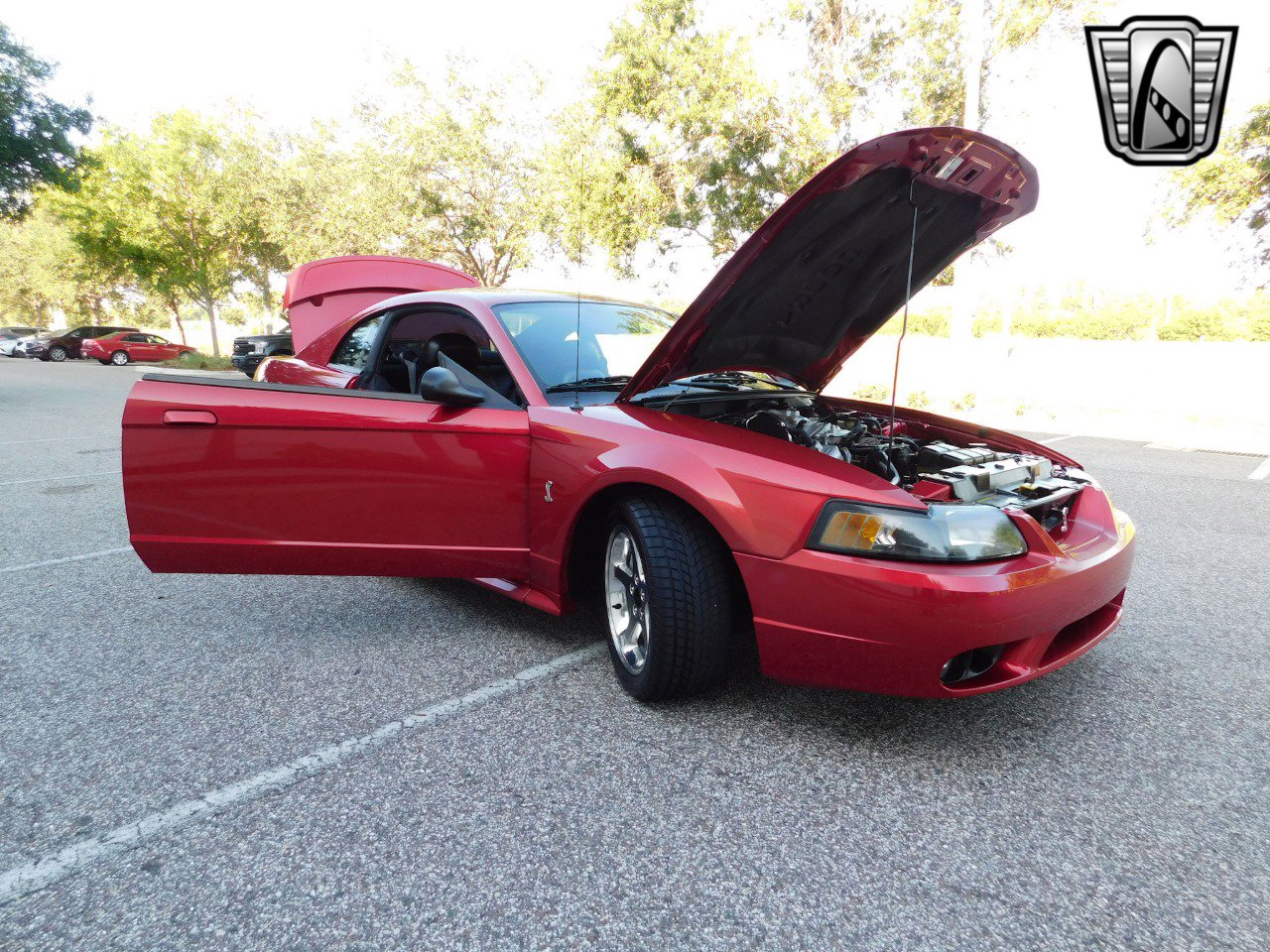 Used 2001 Ford Mustang Cobra image 23
