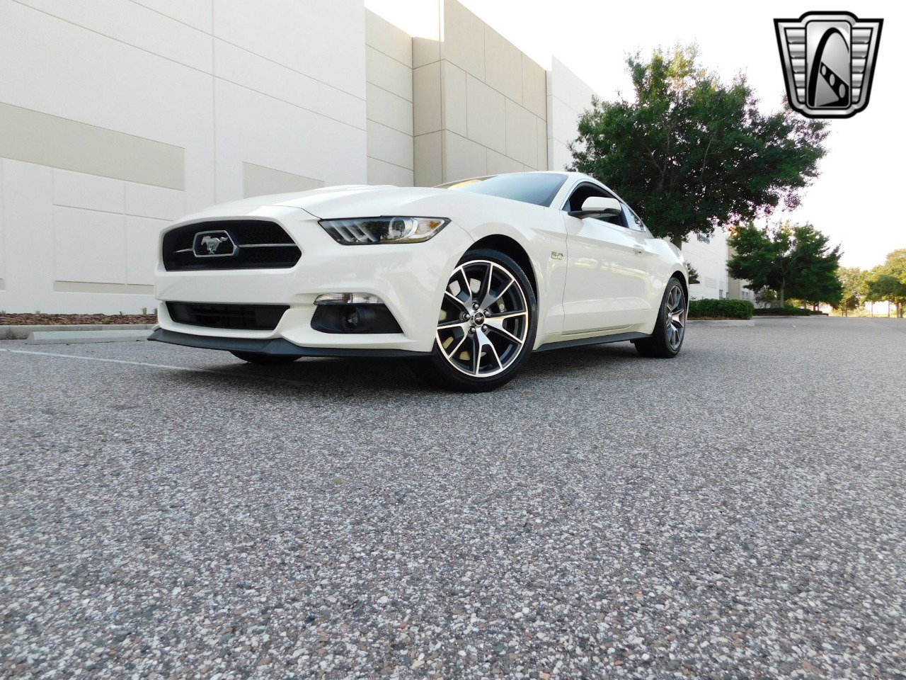 Used 2015 Ford Mustang 50 Years image 10