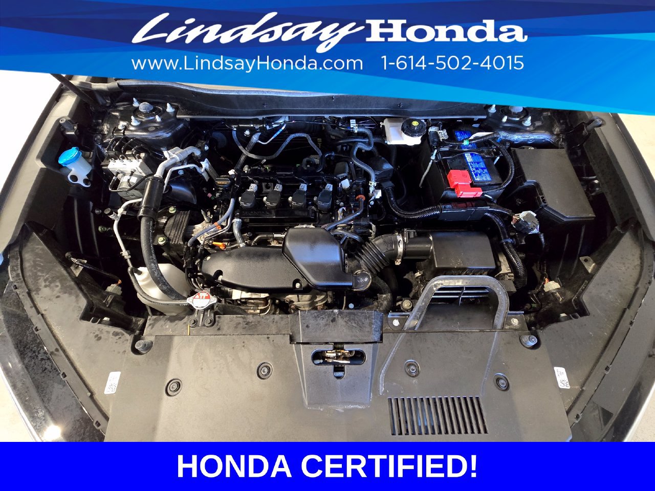 Certified 2025 Honda CR-V EX-L image 25
