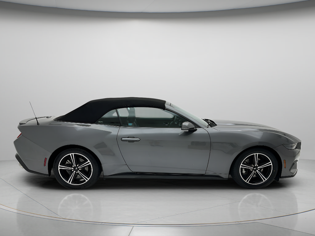 Used 2025 Ford Mustang Premium RWD image 6