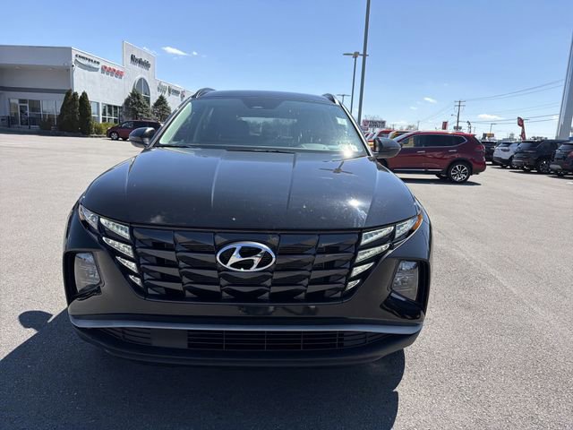 Used 2022 Hyundai Tucson SEL w/ Cargo Package image 2