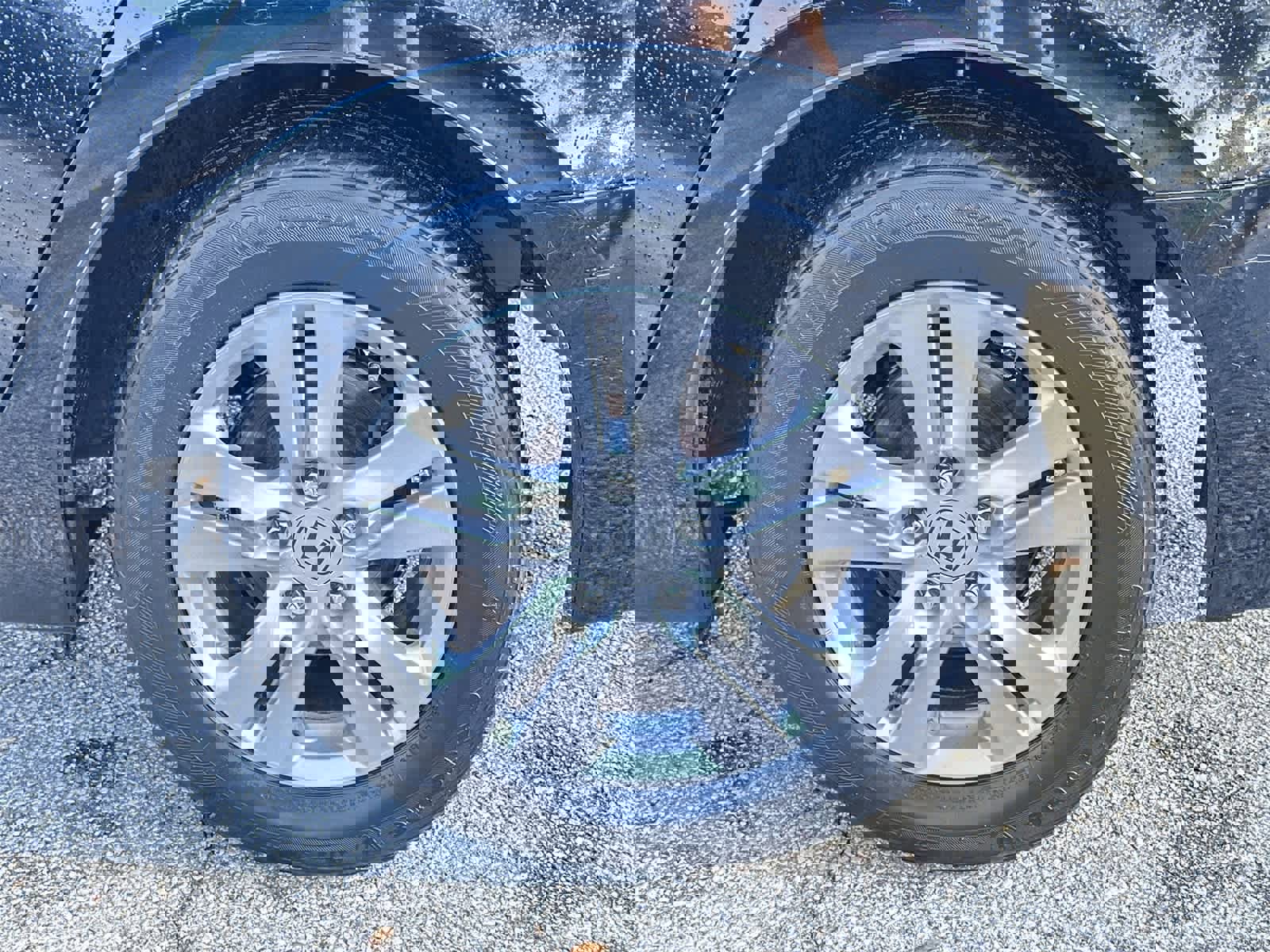 Used 2012 Honda Accord SE image 12