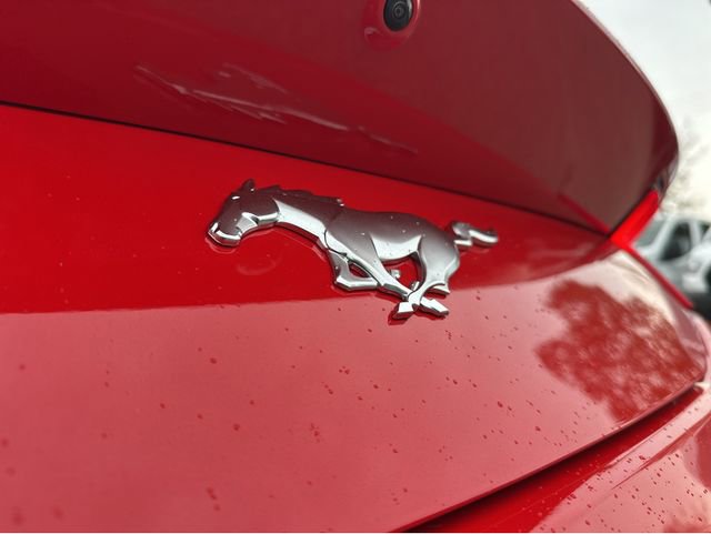 New 2026 Ford Mustang Premium RWD image 14