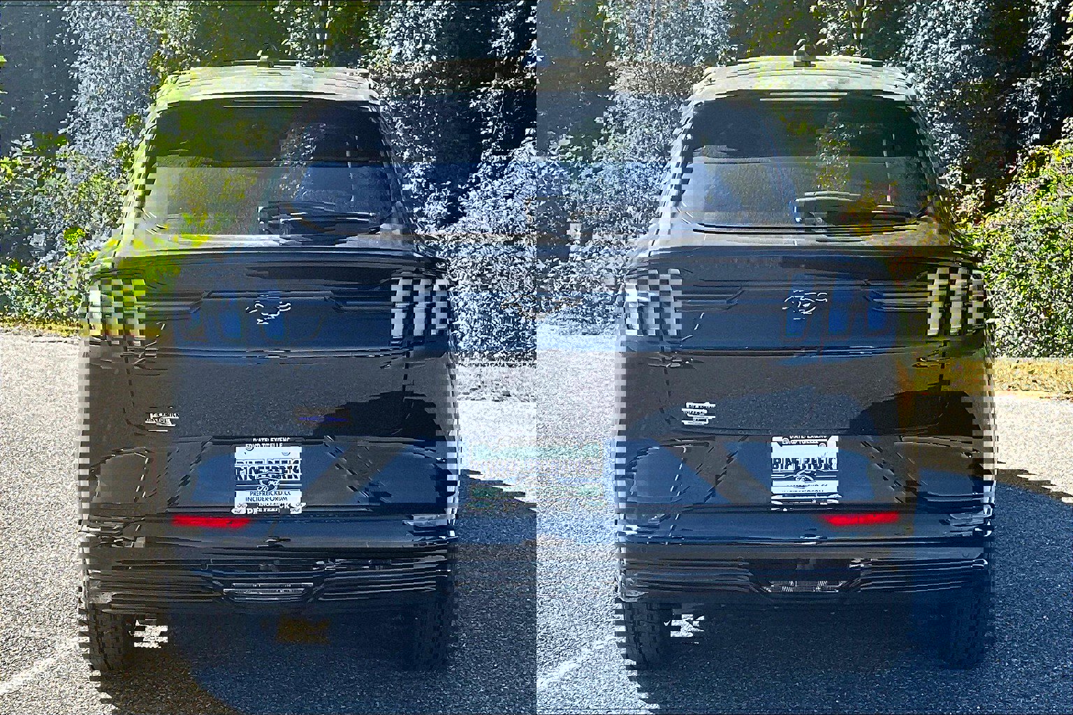 New 2025 Ford Mustang Mach-E Premium w/ Sport Appearance Package image 4