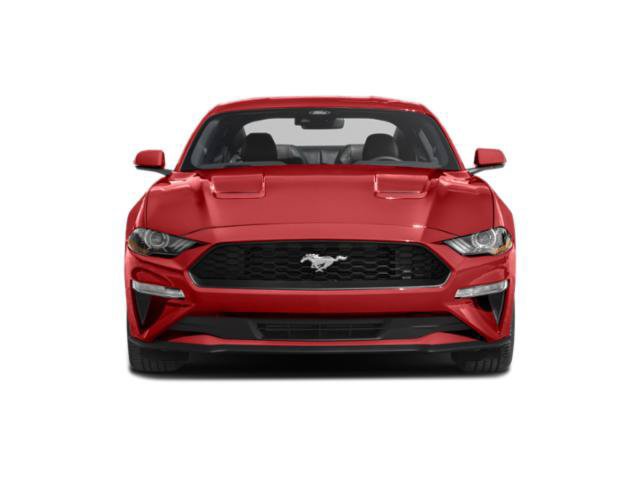 Used 2023 Ford Mustang Coupe w/ Equipment Group 101A RWD image 4