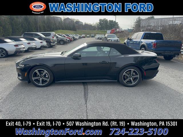 Used 2024 Ford Mustang Premium image 1