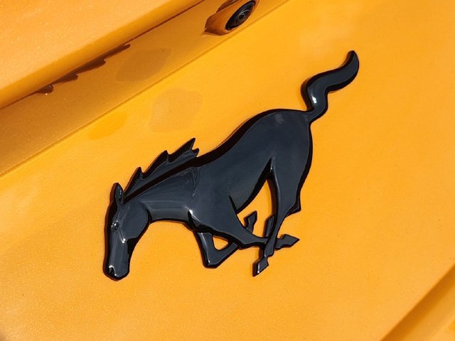 New 2026 Ford Mustang Coupe w/ Mustang Nite Pony Package RWD image 14
