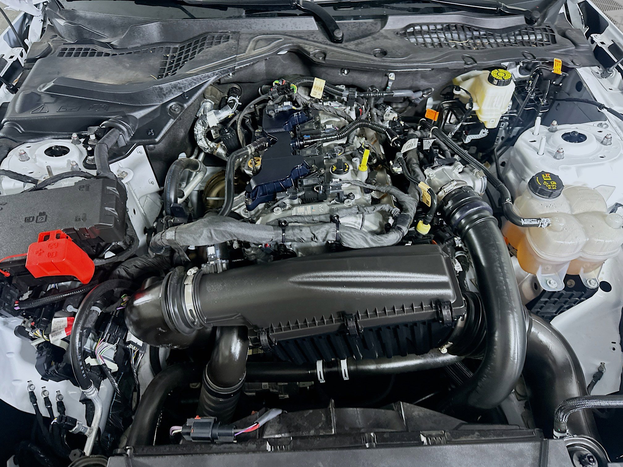 Used 2024 Ford Mustang Premium image 29