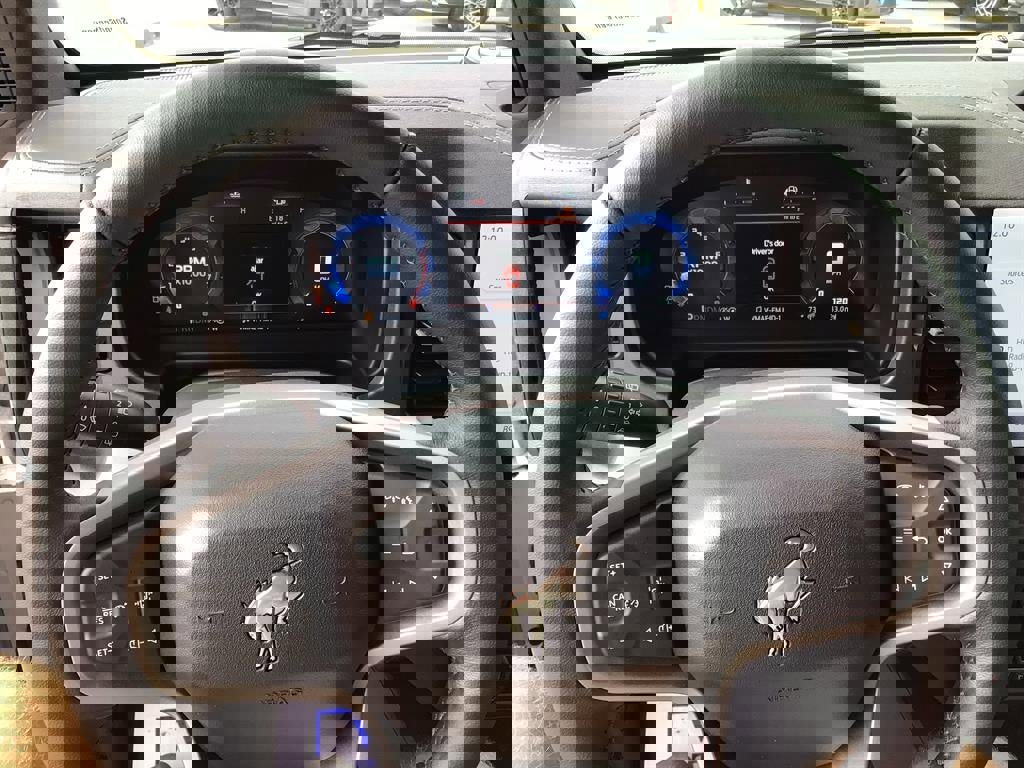 New 2025 Ford Bronco Badlands image 14