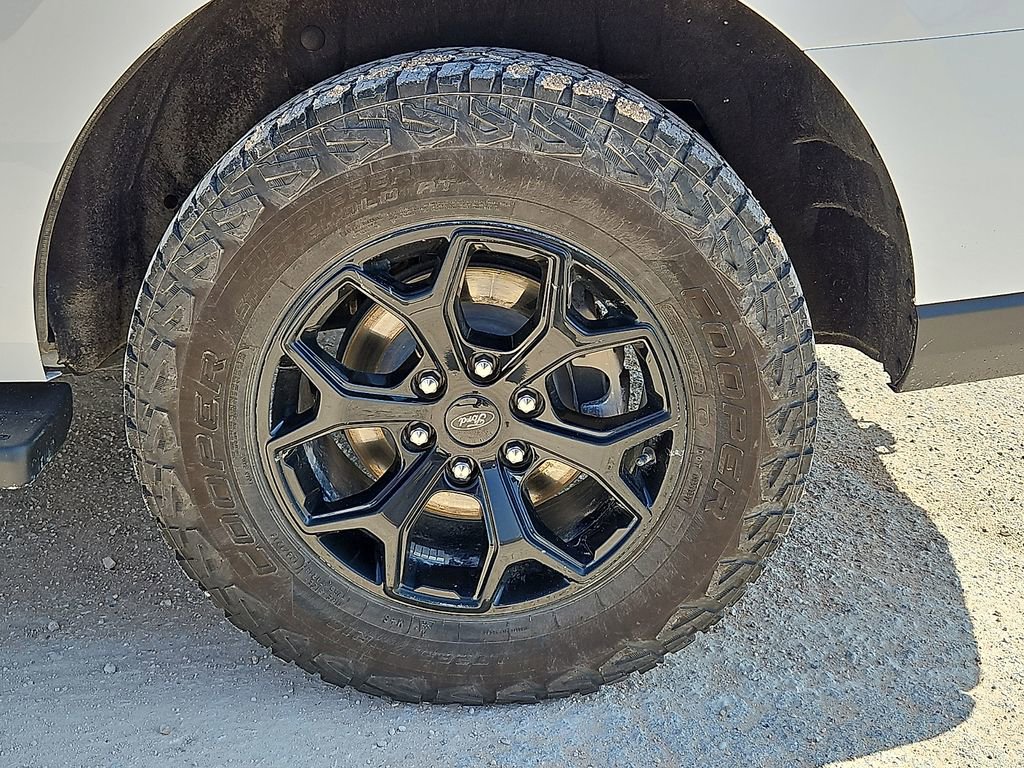 Used 2024 Ford Expedition Timberline AWD/4WD image 14