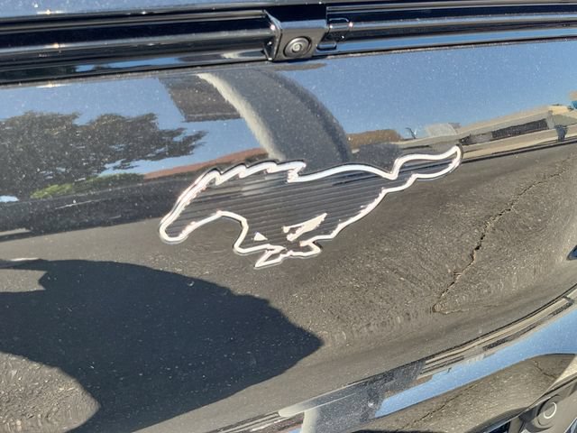 New 2026 Ford Mustang Mach-E Premium w/ Technology Package RWD image 9