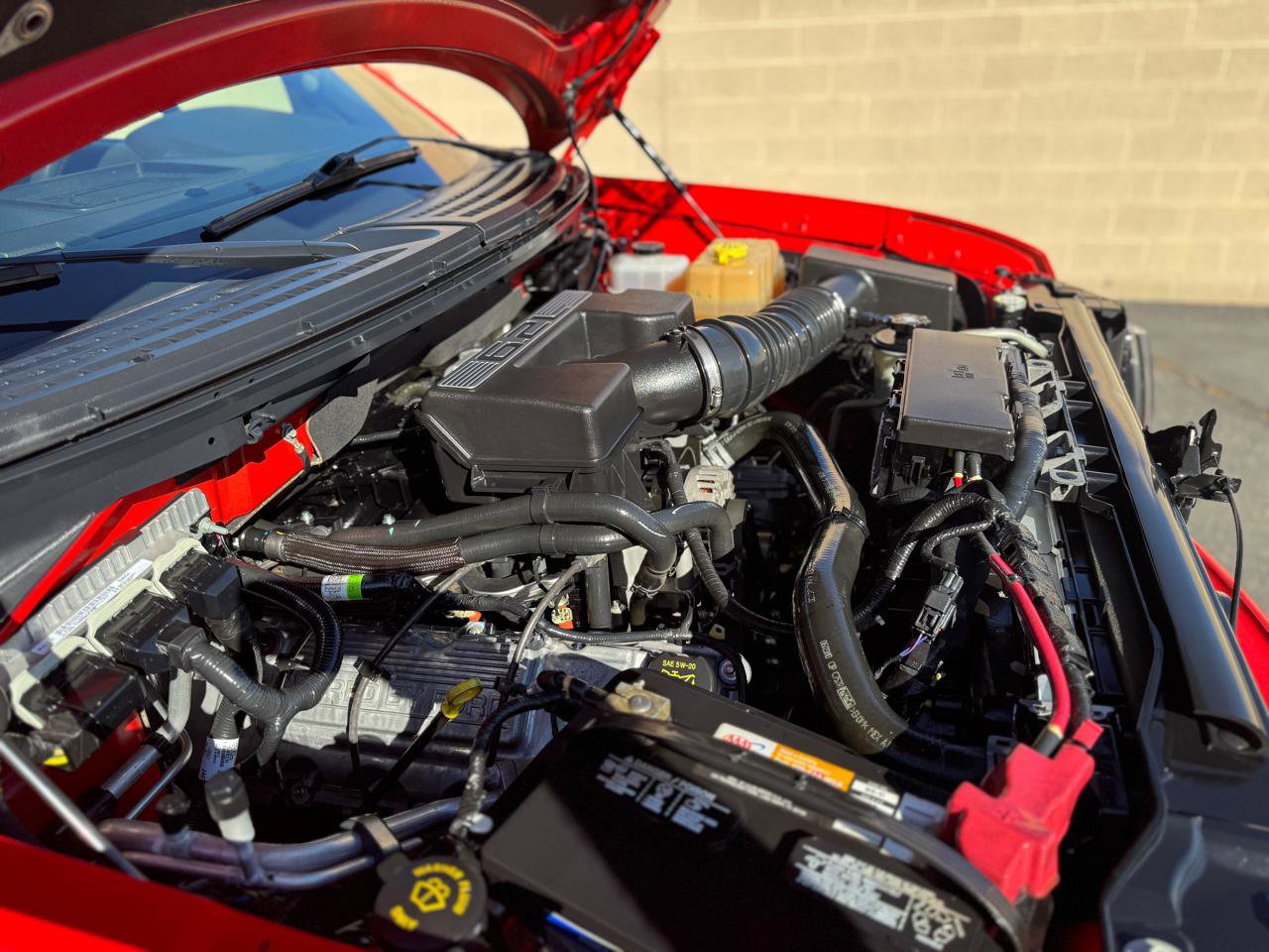 Used 2010 Ford F150 Raptor image 15