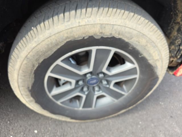 Used 2016 Ford F150 XLT w/ Equipment Group 301A Mid image 5