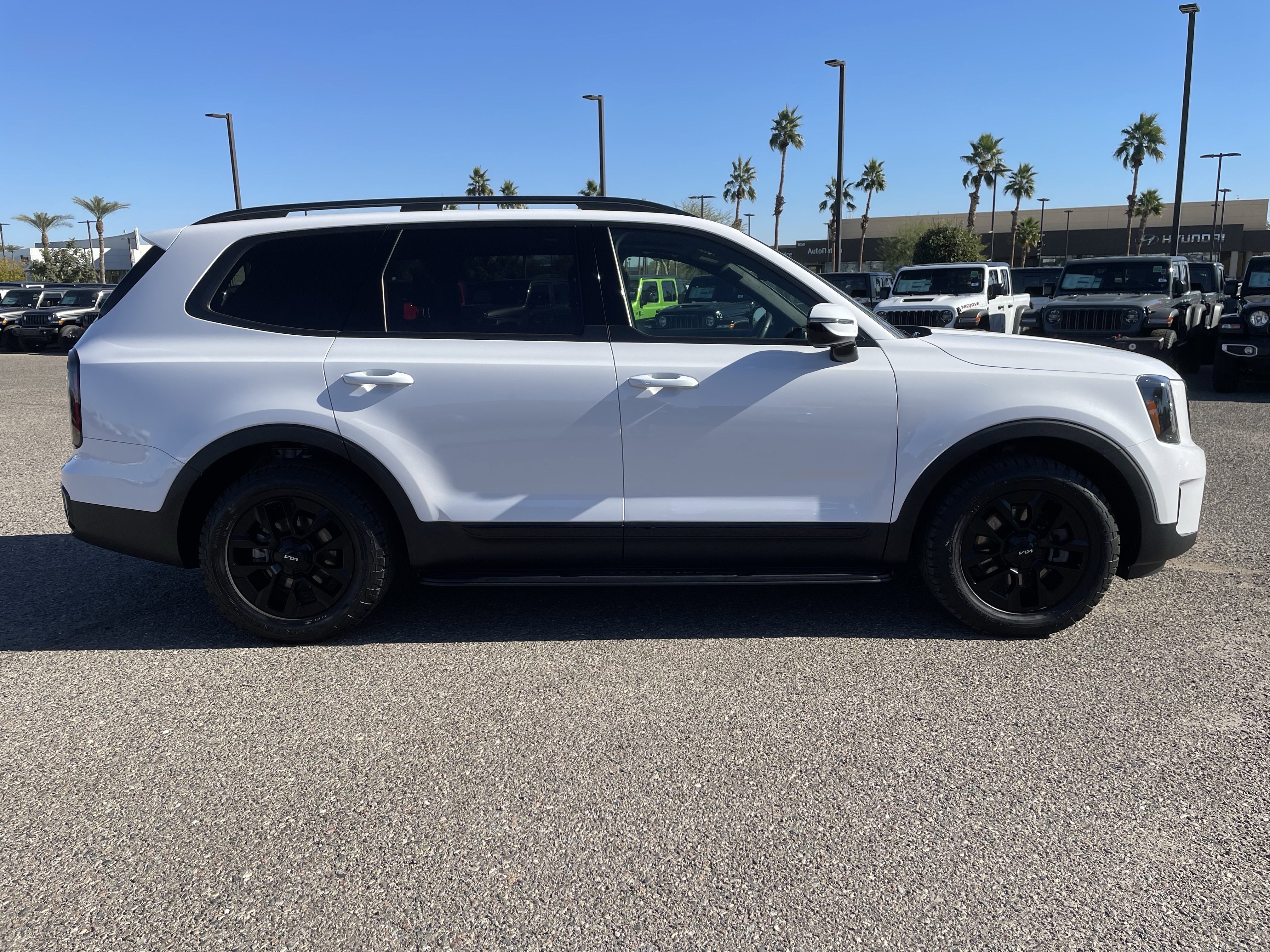 Used 2024 Kia Telluride SX Prestige X-Pro image 6