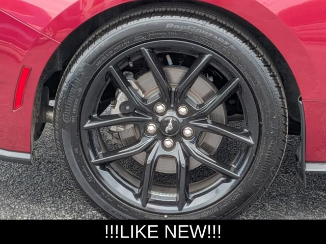 Used 2025 Ford Mustang Premium w/ Mustang Nite Pony Package RWD image 10