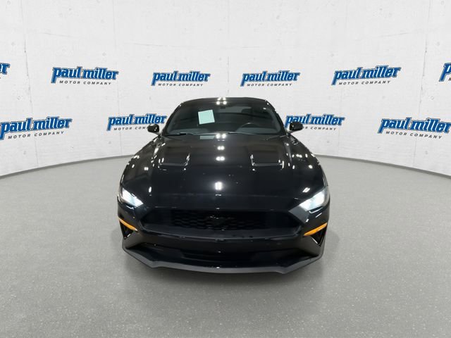 Used 2019 Ford Mustang EcoBoost w/ Black Accent Package image 4