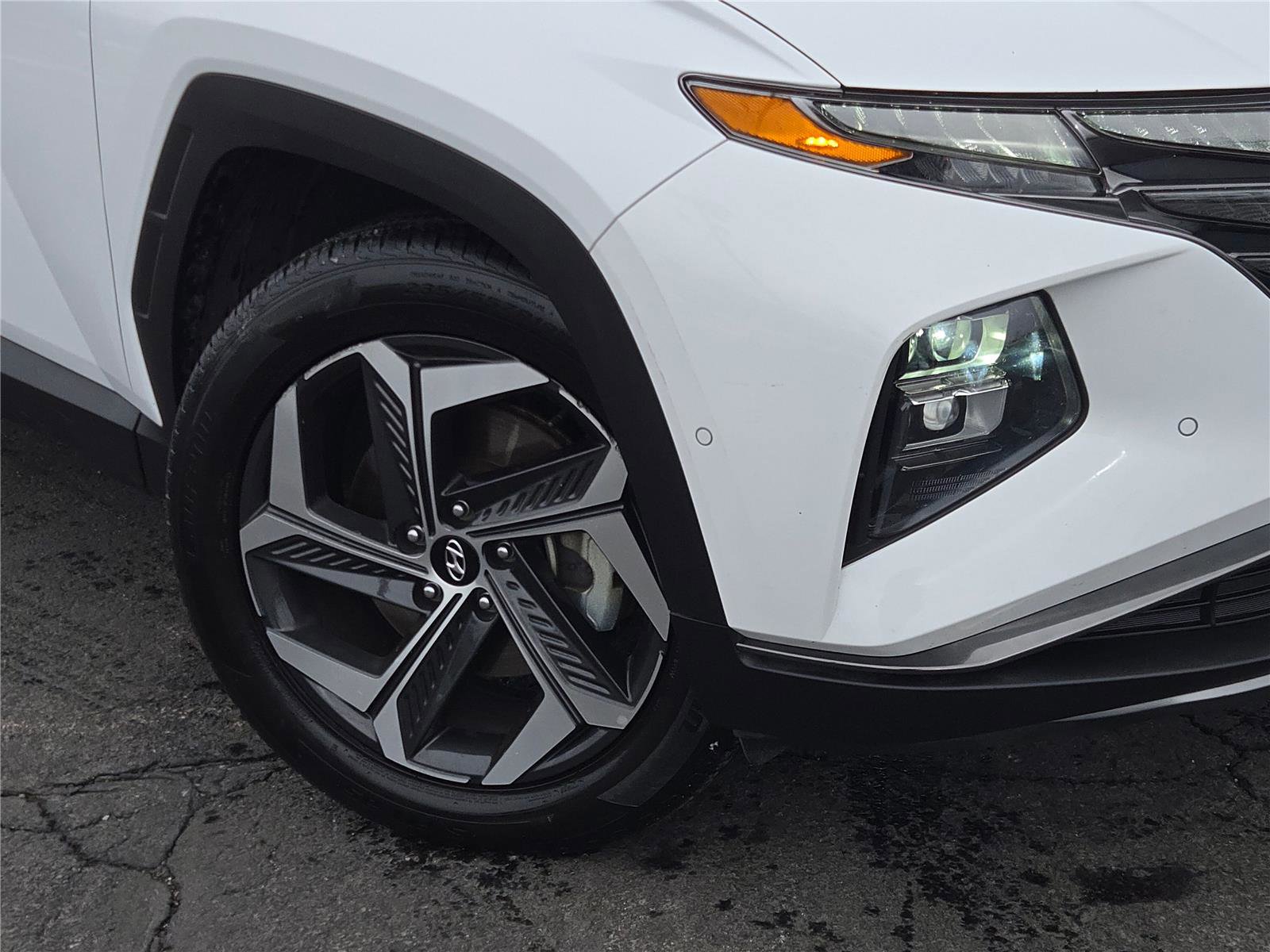 Used 2024 Hyundai Tucson Limited image 3