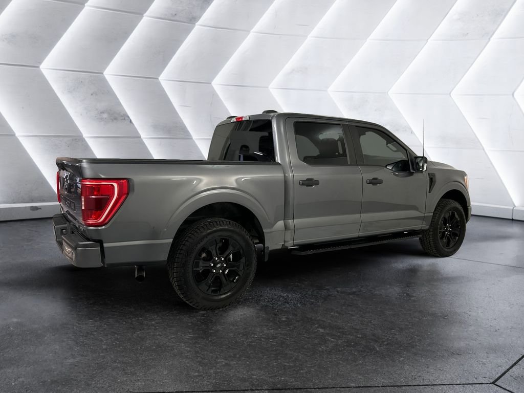 Used 2022 Ford F150 XL w/ STX Black Appearance Package RWD image 4