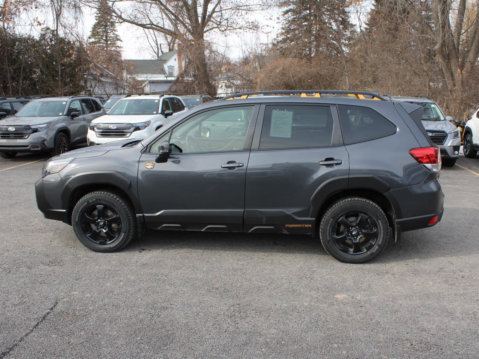 Certified 2023 Subaru Forester Wilderness image 5