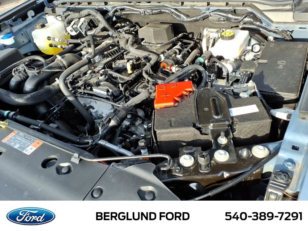 Used 2024 Ford Ranger XLT w/ Equipment Group 301A High image 13