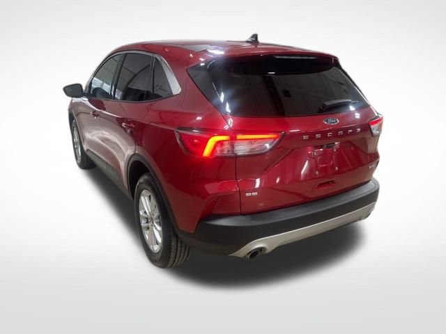 Used 2022 Ford Escape SE w/ Convenience Package image 3