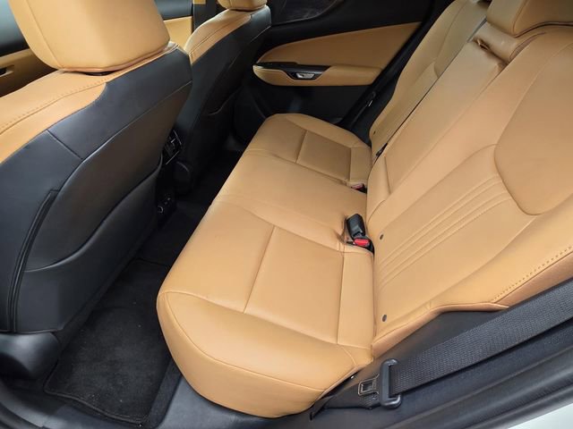 Certified 2025 Lexus NX 350 AWD w/ Premium Package image 9