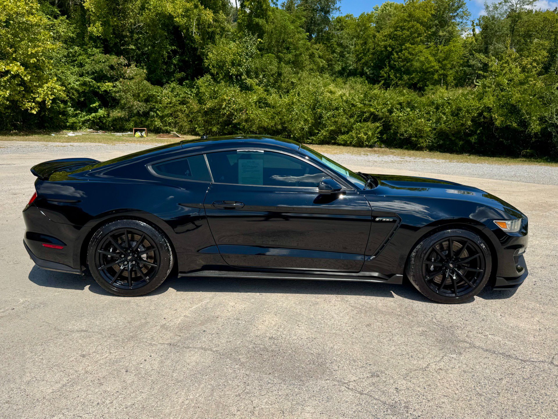 Used 2016 Ford Mustang Shelby GT350 w/ Technology Package RWD image 7