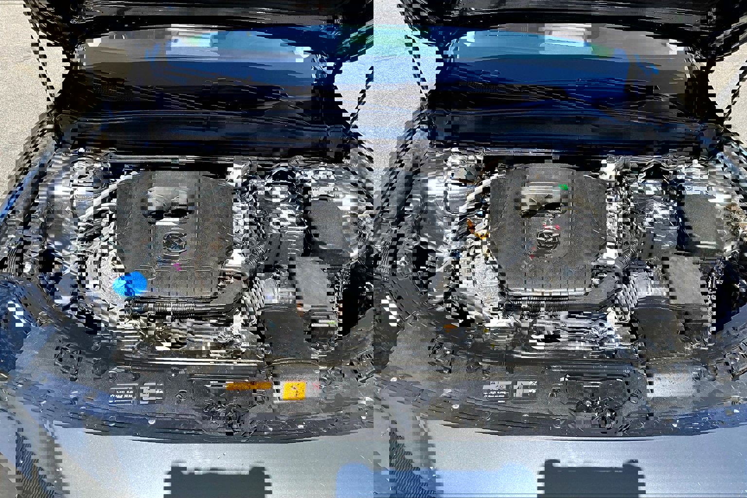 Used 2025 MAZDA CX-50 AWD 2.5 S w/ Premium Package image 22