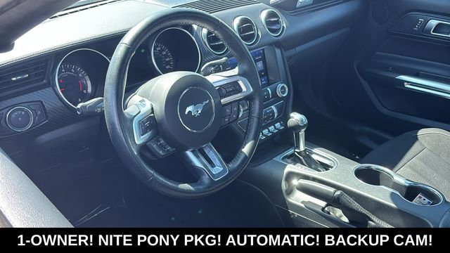 Used 2023 Ford Mustang Coupe w/ Equipment Group 101A RWD image 8