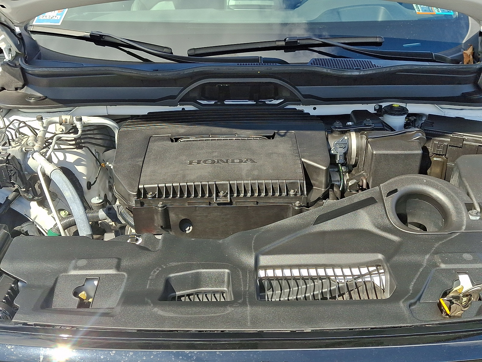 Certified 2025 Honda Pilot Black Edition image 31