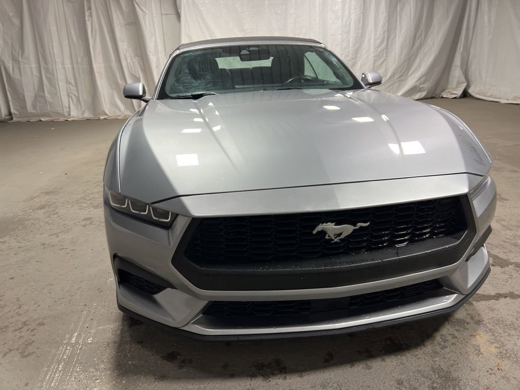 Used 2024 Ford Mustang Premium image 2