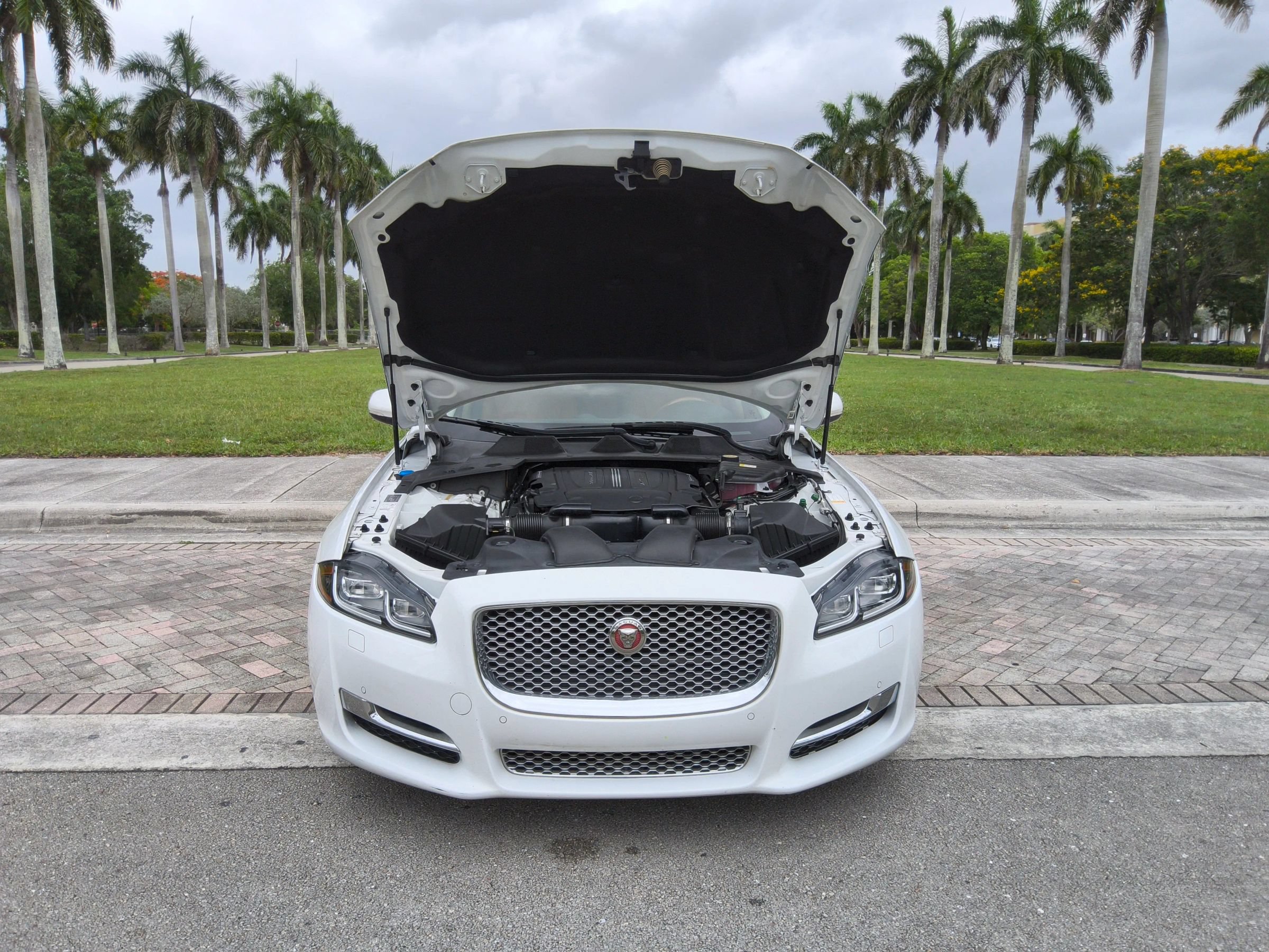 Used 2019 Jaguar XJ L Portfolio RWD image 45