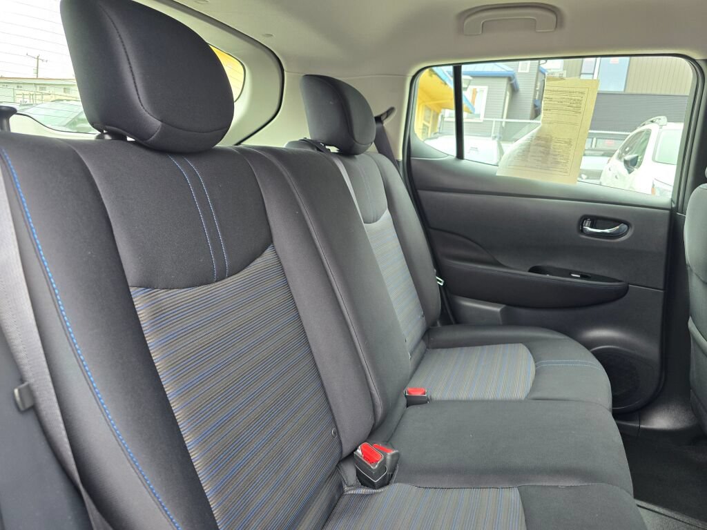Used 2018 Nissan Leaf SV w/ Protection Package FWD image 14